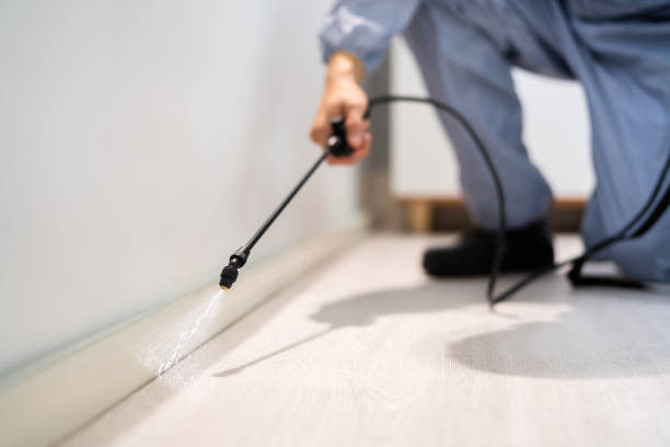Licensed Pest Control service in Mead, WA - Show Me Pest Control
