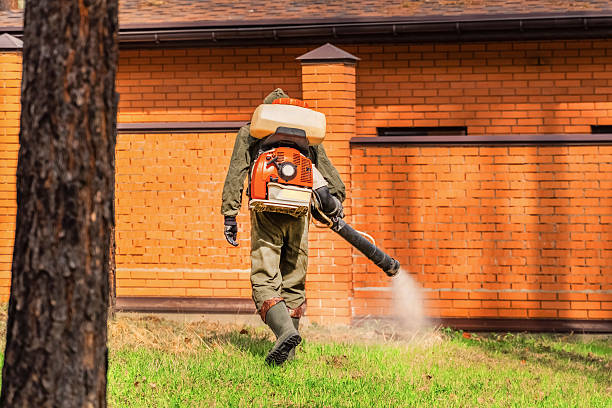 Bed Bug Clearance Verification and Documentation in Mead